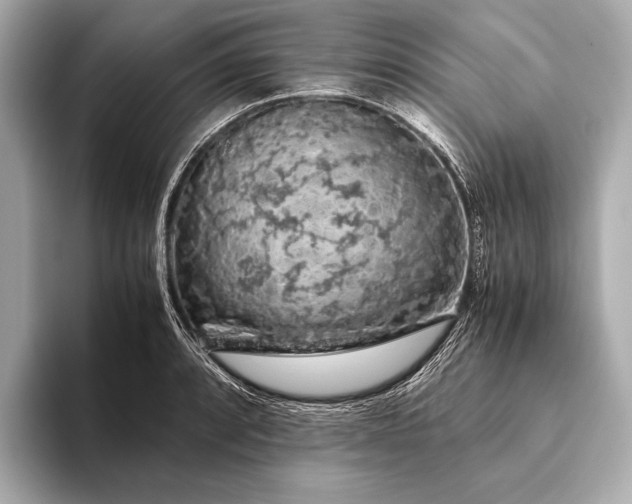 X0000093411088200710260933