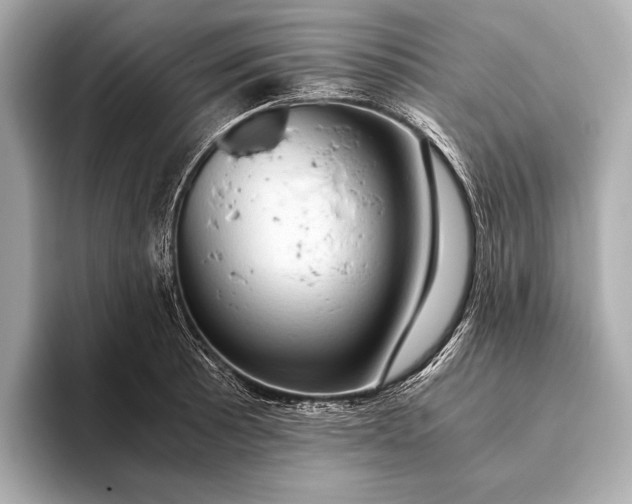 X0000093411089200710260933