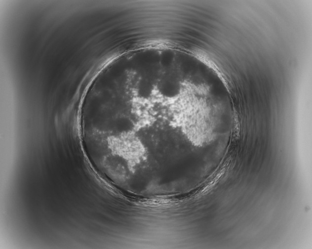 X0000093411090200710260933