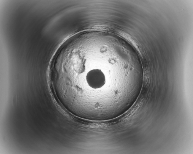 X0000093411091200710260933