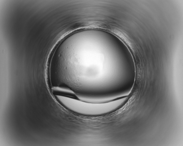 X0000093411093200710260933