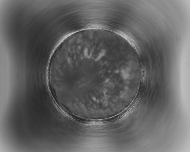 X0000093411094200710260933