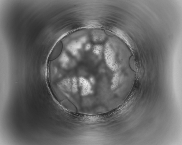 X0000093411095200710260933