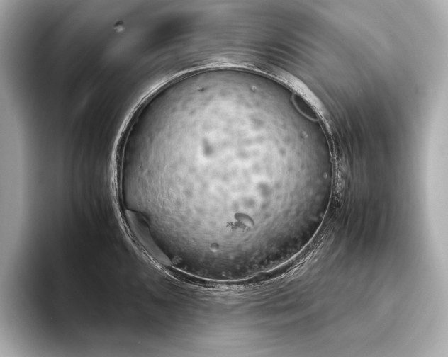 X0000093411096200710260933