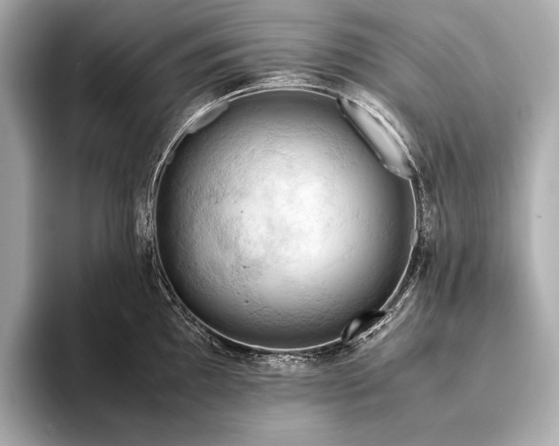 X0000093411097200710260933