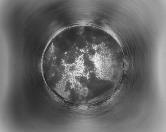 X0000093411098200710260932