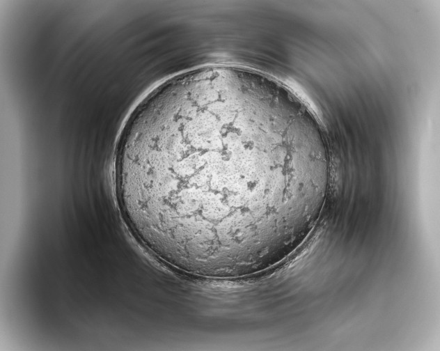 X0000093411100200710260932