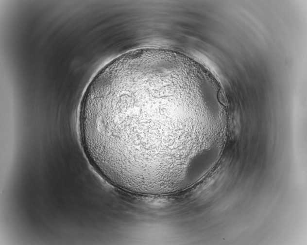 X0000093411103200710260932