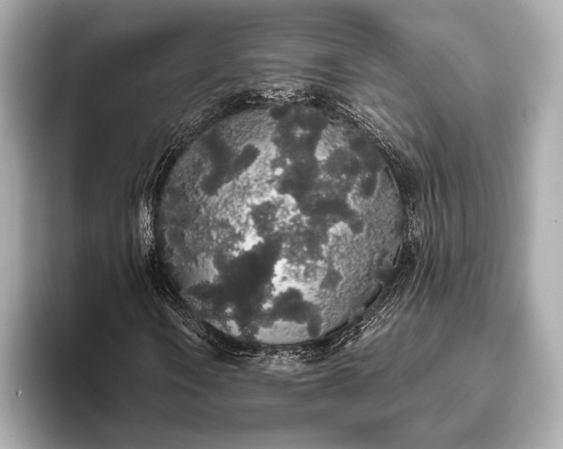 X0000093411106200710260932