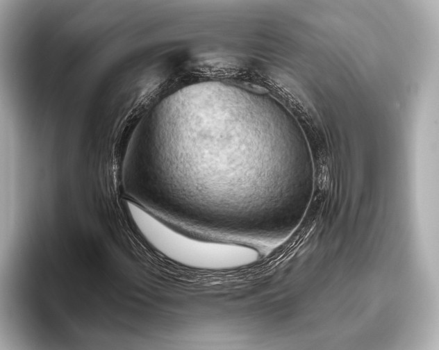 X0000093411108200710260932