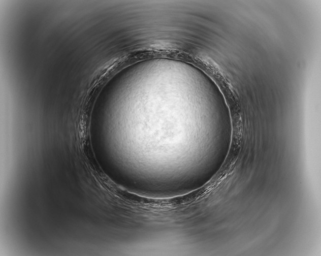 X0000093411110200710260932