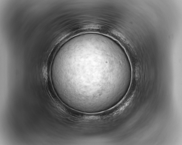 X0000093411113200710260932