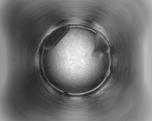 X0000093411114200710260932