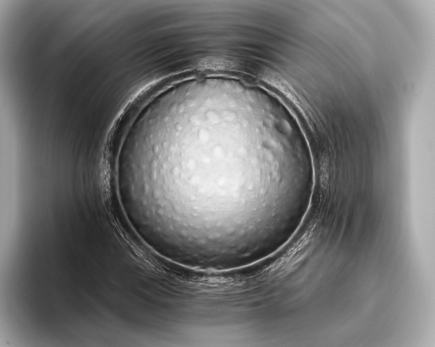 X0000093411115200710260932