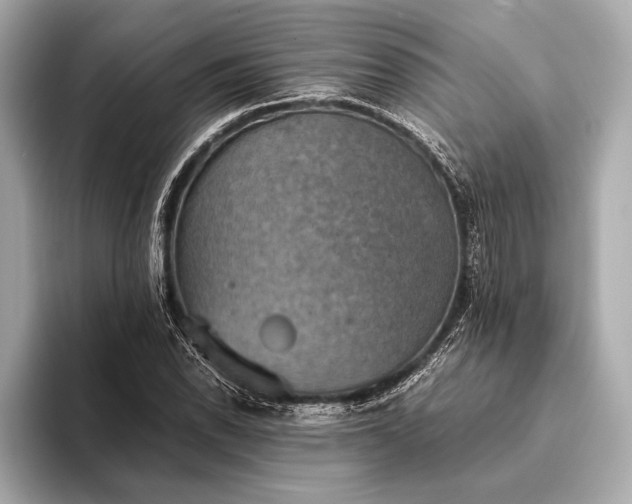 X0000093411118200710260932