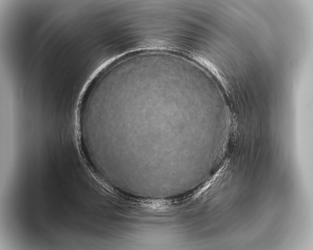 X0000093411120200710260932