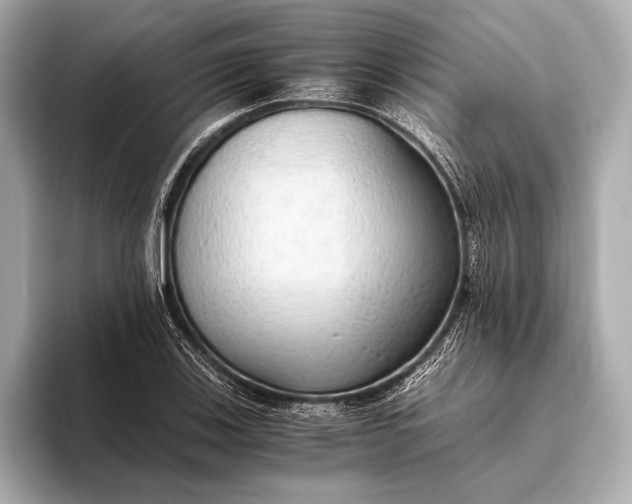 X0000093411123200710260932