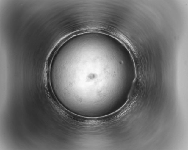 X0000093411124200710260932