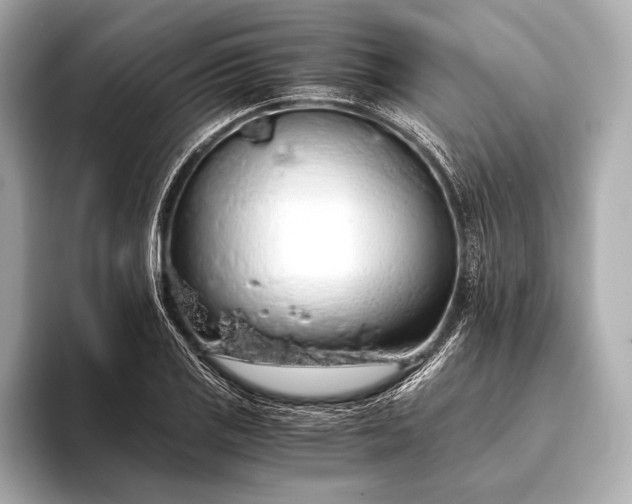 X0000093411125200710260932