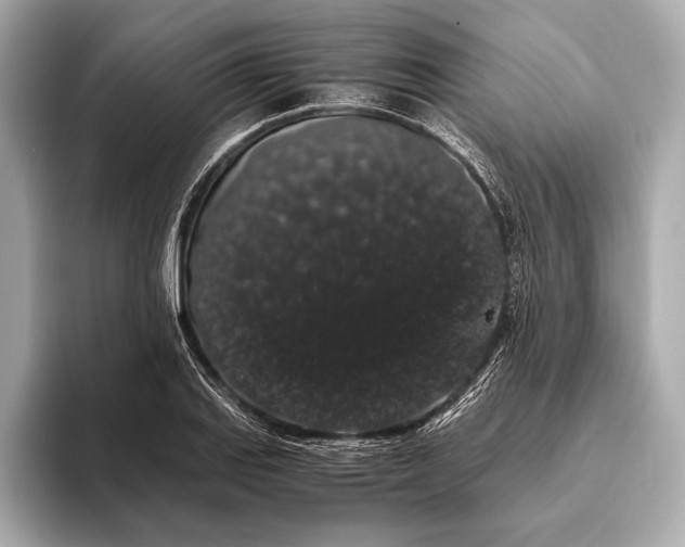 X0000093411127200710260932