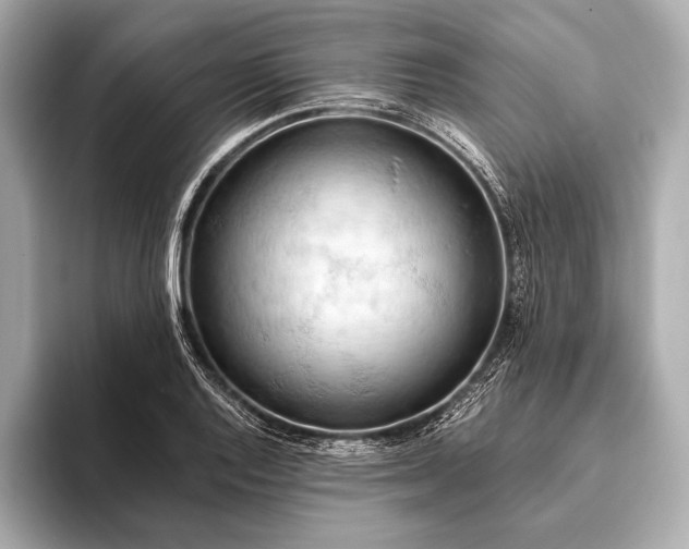 X0000093411128200710260932