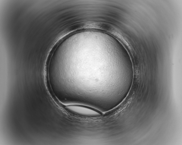 X0000093411133200710260932