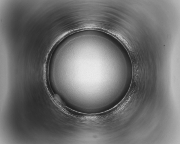 X0000093411134200710260932