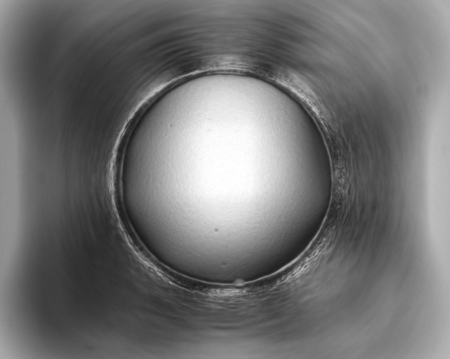 X0000093411135200710260932