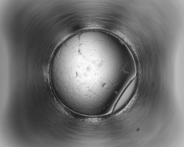 X0000093411137200710260932