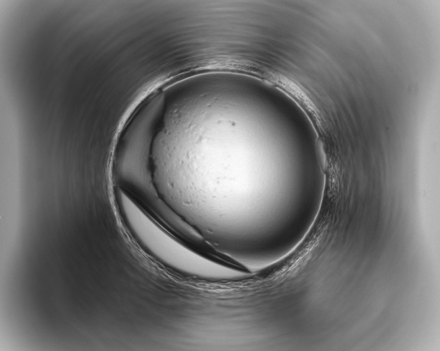 X0000093411138200710260932