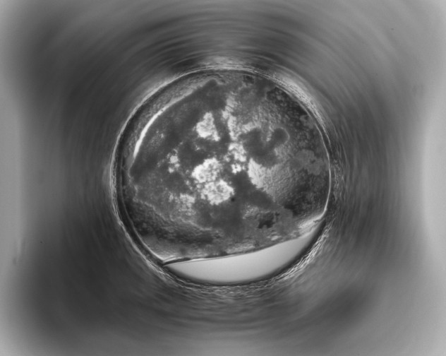 X0000093411141200710260932