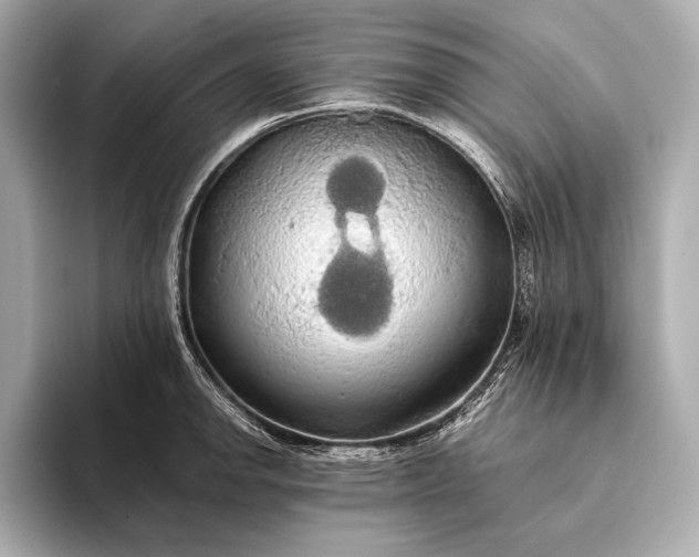 X0000093411142200710260932