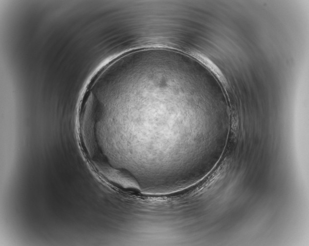 X0000093411144200710260932