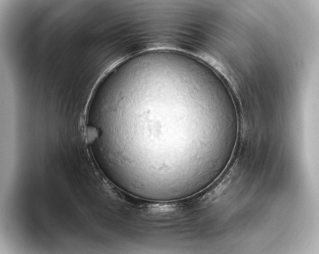 X0000093411145200710260932