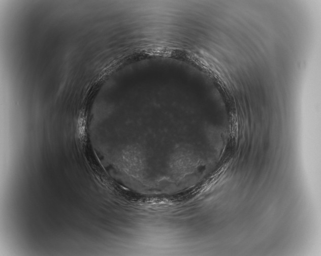 X0000093411154200710260932