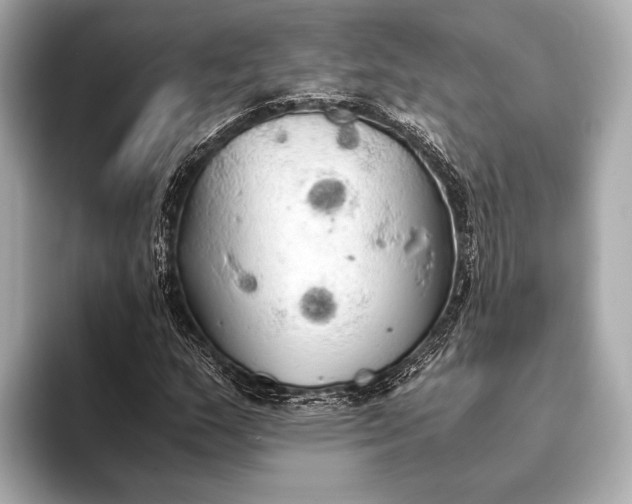 X0000093411159200710260932