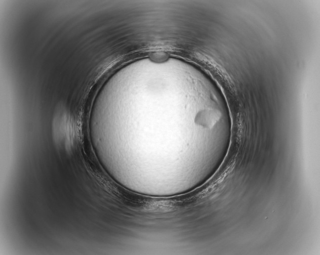 X0000093411162200710260932