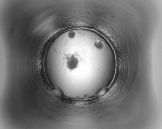 X0000093411163200710260932