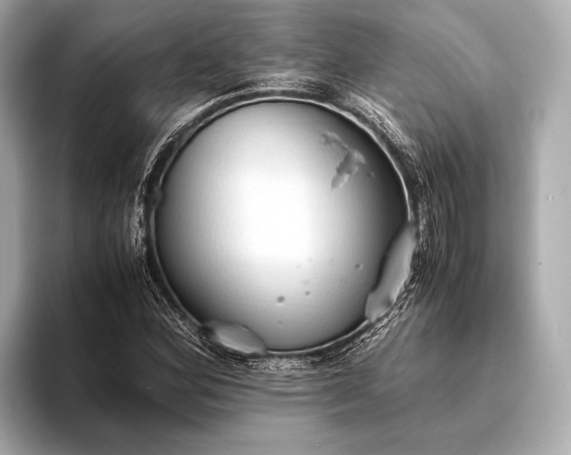 X0000093411164200710260932