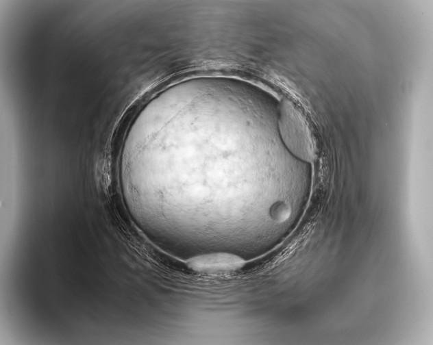 X0000093411165200710260932