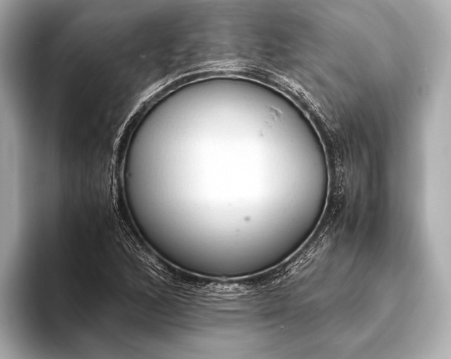 X0000093411168200710260932