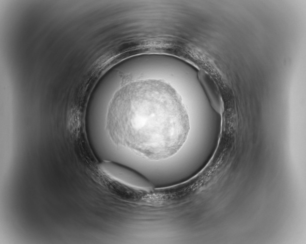 X0000093411169200710260932