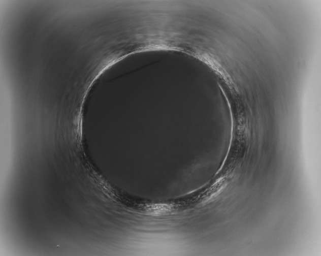 X0000093411173200710260932