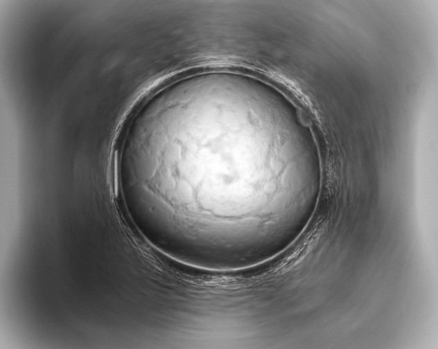 X0000093411175200710260931