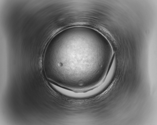 X0000093411177200710260931