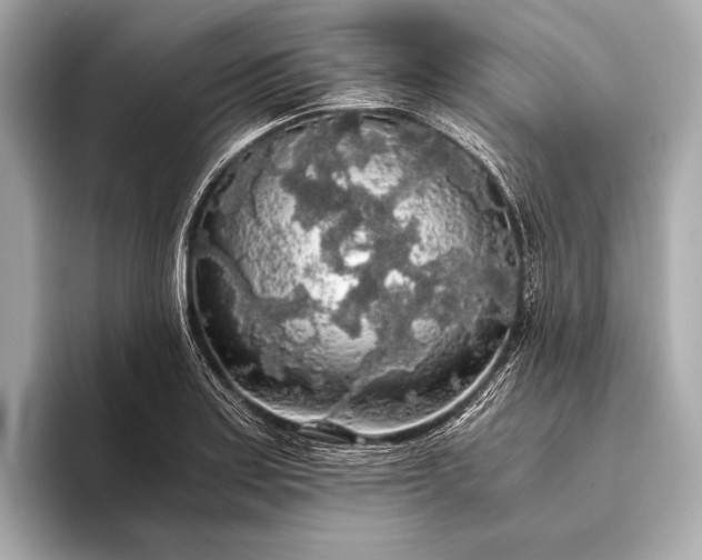 X0000093411179200710260931