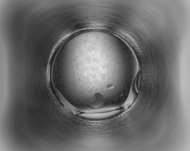 X0000093411180200710260931