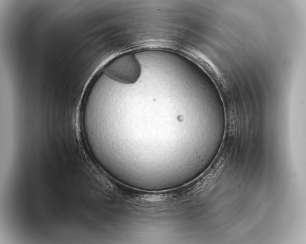 X0000093411182200710260931