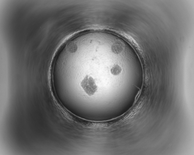 X0000093411183200710260931