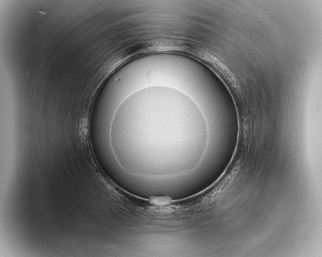 X0000093411185200710260931